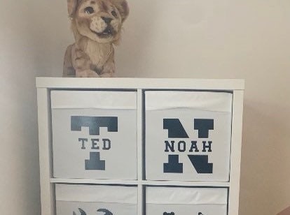 Toy Storage Initial Decals